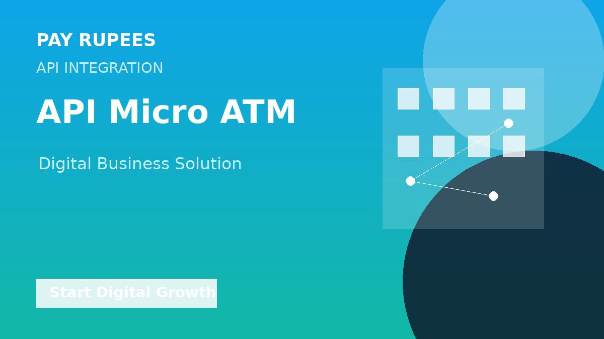 API Micro ATM